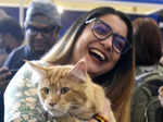 Feline Club of India hosts Cat Show Championship