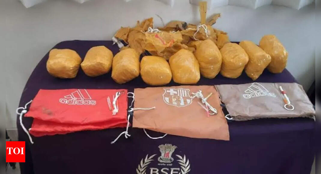 India Pakistan Border News: BSF seizes 11 kg of heroin airdropped by ...