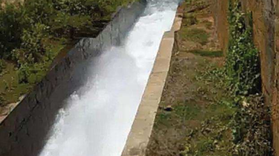 No supply from Tillari hits farmers as paddy fields, plantations wilt