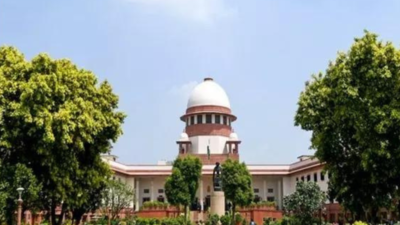 Netas don't have immunity above that of citizens: SC