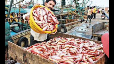 Inflation in EU hits Veraval fish exports in Gujarat