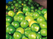 
Lemon prices soar, cross Rs 200 per kg in retail market in Ahmedabad
