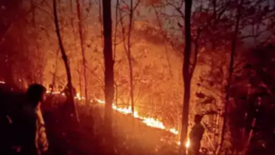 Forest fires rage across Maharashtra as forest department looks on helplessly