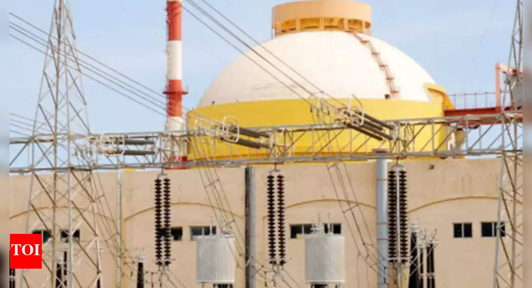 Tamil Nadu Spent nuclear fuel stored at Kudankulam plant despite Tamil