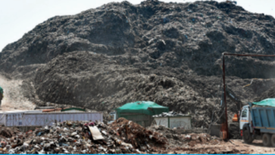 Ready action plan in 15 days for landfill management, MCD told