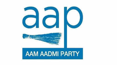 AAP promises Delhi model of development in Dakshina Kannada