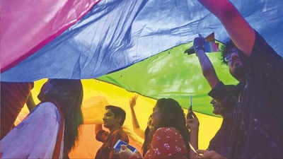 LGBTQIA community awaits SC verdict on same-sex marriage