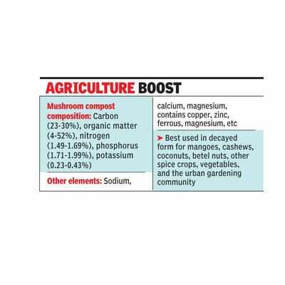 Mushroom compost gains in popularity among Goan ryots