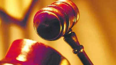 HC cites citizens’ right to protest, quashes FIR against green activist