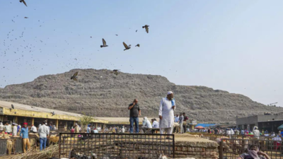Delhi: New sites identified to dump inert waste generated at landfills
