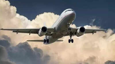 Drunk passenger onboard Delhi-Bengaluru flight booked