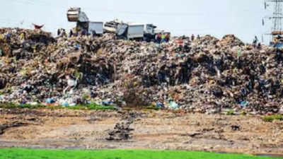 Greater Chennai Corporation pushes trash into 'Ramsar site' Pallikaranai marshland