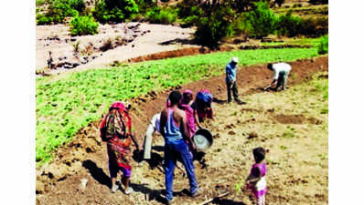 Nashik ZP spends ₹101 crore on MGNREGA works