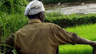 Maharashtra govt disburses Rs 73.5 crore to rain-hit farmers in Pune district