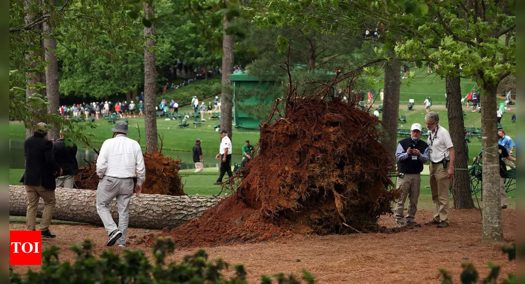Fans escape without injury after towering trees fall at the Masters in Augusta National | Golf News – Times of India