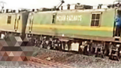 Elephant crossing tracks killed in train hit in Angul