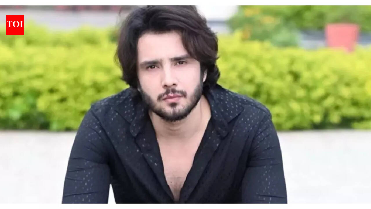 Exclusive - Zaan Khan on his struggles: I started my career with ...