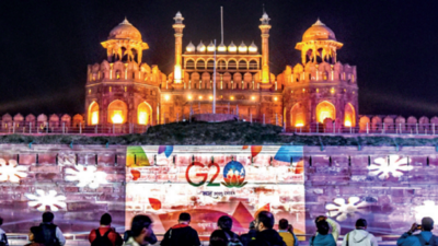 Flower pots, foliage to adorn Delhi roads ahead of G20 Summit