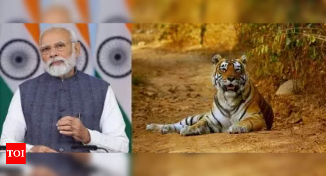 pm-modi-to-release-tiger-count-launch-international-big-cat-bloc-today