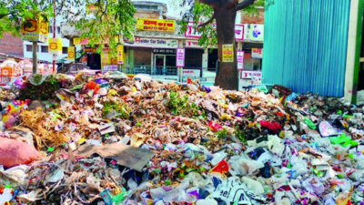 Mounds of garbage lying on several streets raise a stink in Lucknow