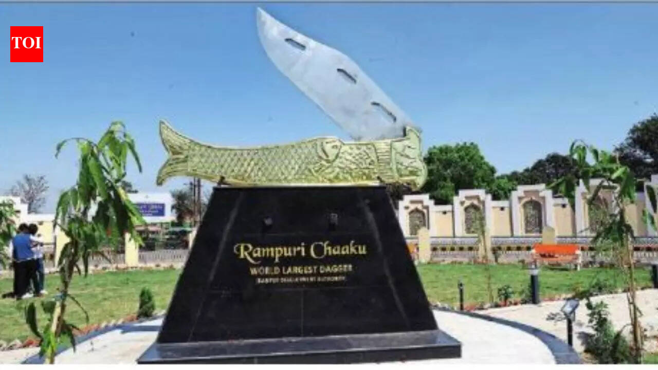 Decades after ban, Rampuri chaku to have fresh stab at fame | India ...