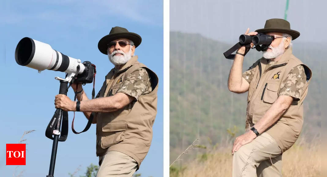 Project Tiger:  PM Modi goes on safari at Bandipur Tiger Reserve in Karnataka to mark 50 years of ‘Project Tiger’: Key developments | India News – Times of India