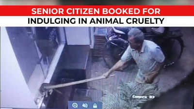 CCTV: Senior citizen hits cats with stick embedded with sharp nails in Mumbai; booked