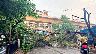 Unseasonal rain disrupts power supply, traffic movement in Pune