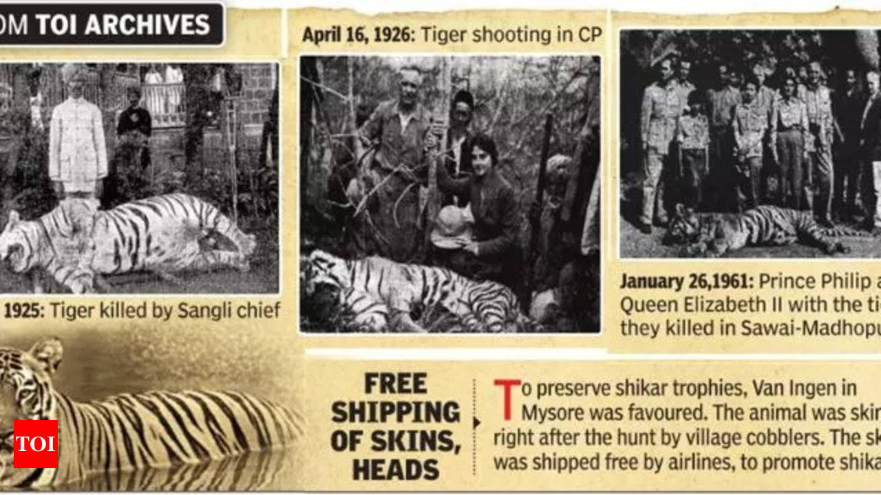 When Nagpur was the hunting capital | India News - Times of India