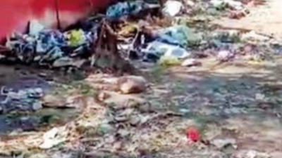 Stop open garbage dumping: DM takes note of Lucknow’s stinking reality