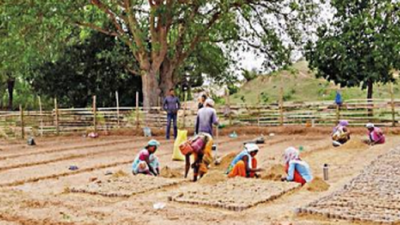 Jharkhand tops in desertification, land erosion in country, says ISRO