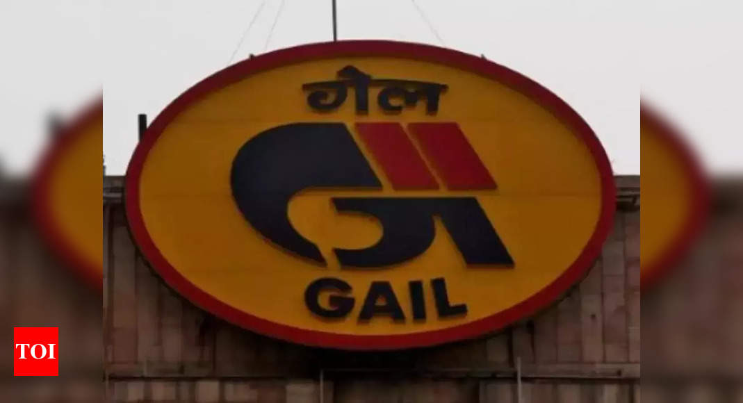 GAIL Gas cuts CNG, PNG prices by Rs 7 – Times of India
