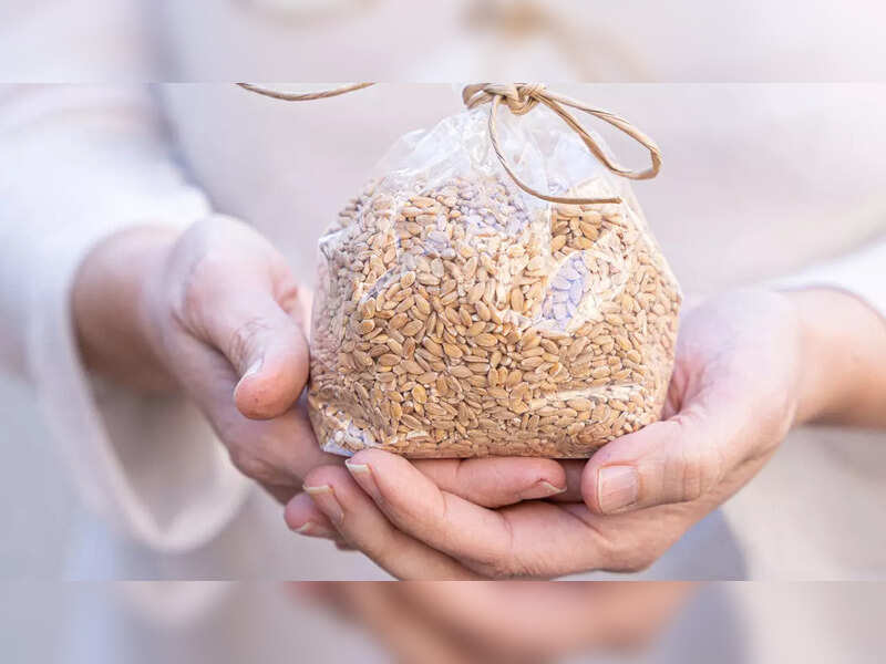 Emmer wheat or Khapli: Everything we should know about this healthy grain