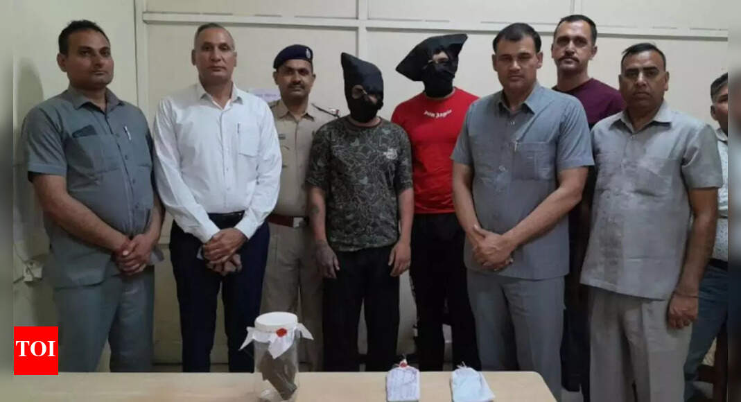 Two arrested for murder bid in Haryana's Karnal | Chandigarh News ...