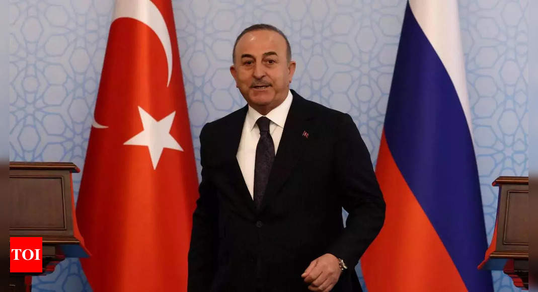 Egypt Turkey Ties: Egyptian minister to visit Turkey as ties improve – Ankara – Times of India