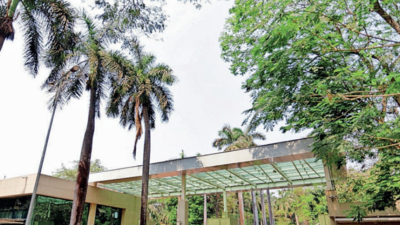 'Student says rift small, couldn't lead to suicide'