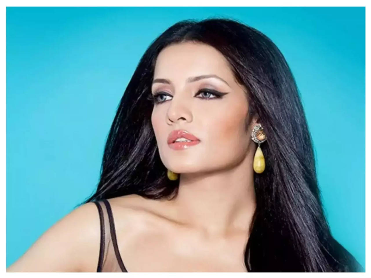 A Twitter user threw shade at Celina Jaitly demeaning her character, the former actor hits back with a powerful response | Hindi Movie News - Times of India
