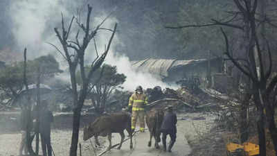 1 dead, hundreds flee wildfire in South Korean seaside city