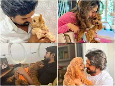 Ram Charan and Rhyme - The images that are breaking the internet on National Pet Day!