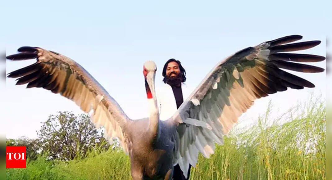 life-affirming-story-of-a-sarus-crane-and-its-saviour-india-news