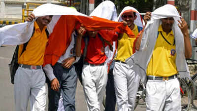 Maximum temperature up, heatwaves to hit Delhi soon