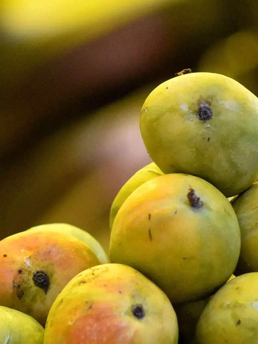 mango-varieties-in-india-10-popular-mangoes-to-try-this-summer-times