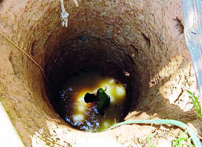 17-yr-old Bantwal boy digs 24ft well to tide over water scarcity
