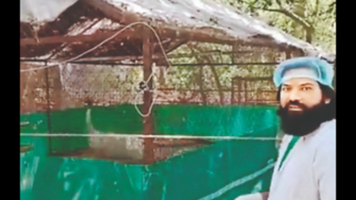 An emotional reunion of a sarus and its saviour at Kanpur zoo