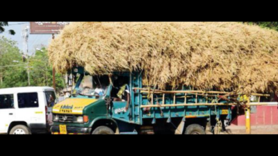 Water and fodder crises haunt north Karnataka districts in summer