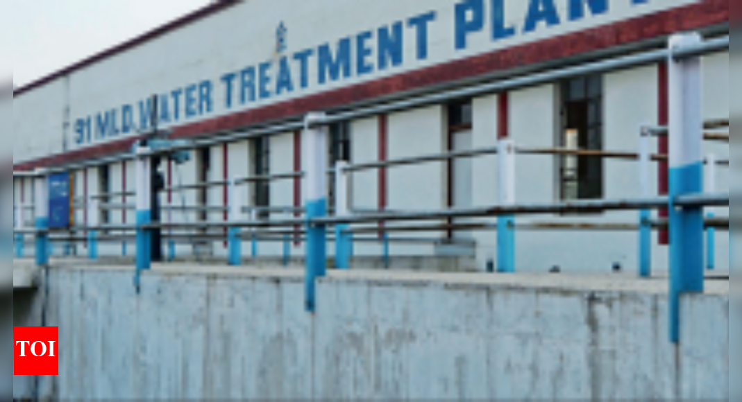 Basai Filter Upgrade For Basai Plant As Summer Water Thirst To Grow