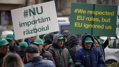Ukraine farmers say protests in EU over Ukrainian grain are political