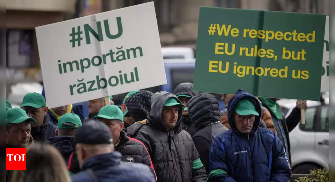 Ukraine Farmers: Ukraine farmers say protests in EU over Ukrainian ...