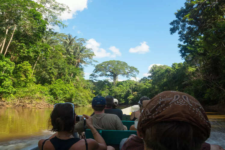 Amazon, Brazil