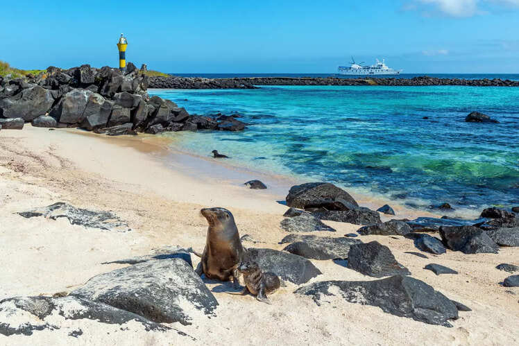Galapagos Islands, Ecuador